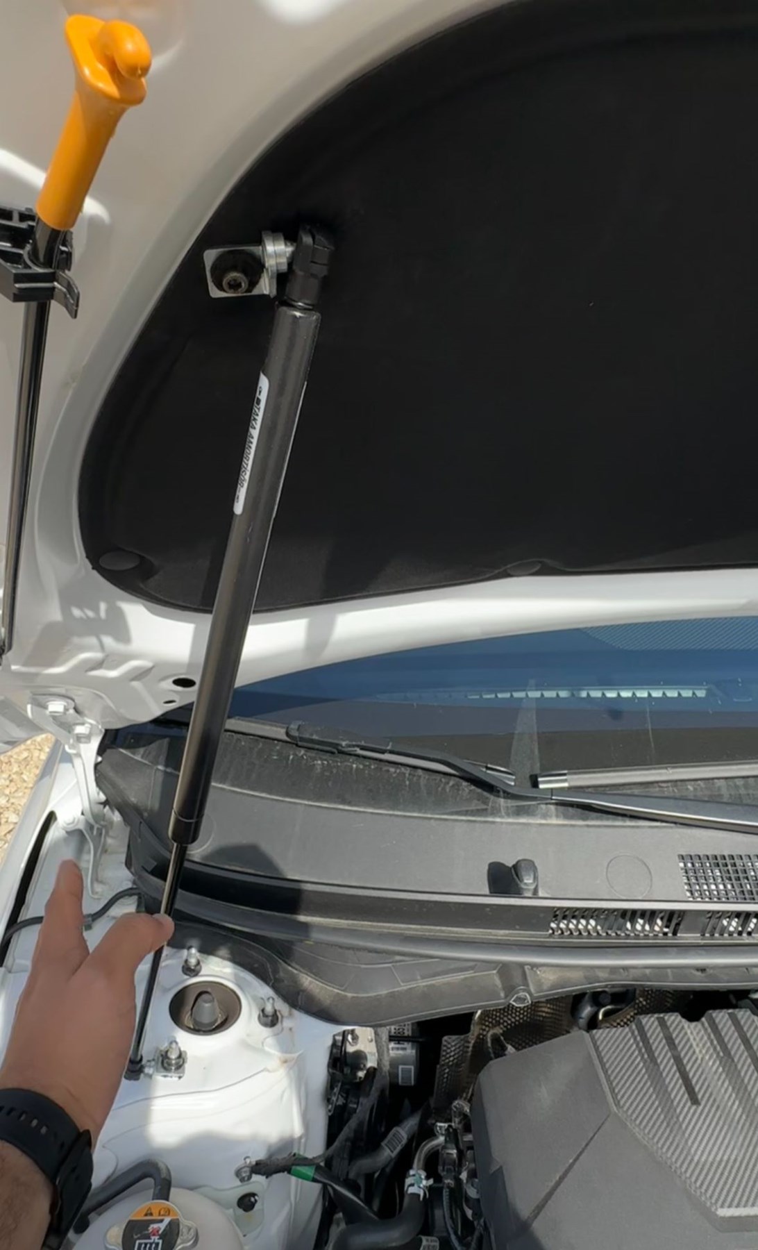 2404293cf6bb404486eb3dad6b1655e1