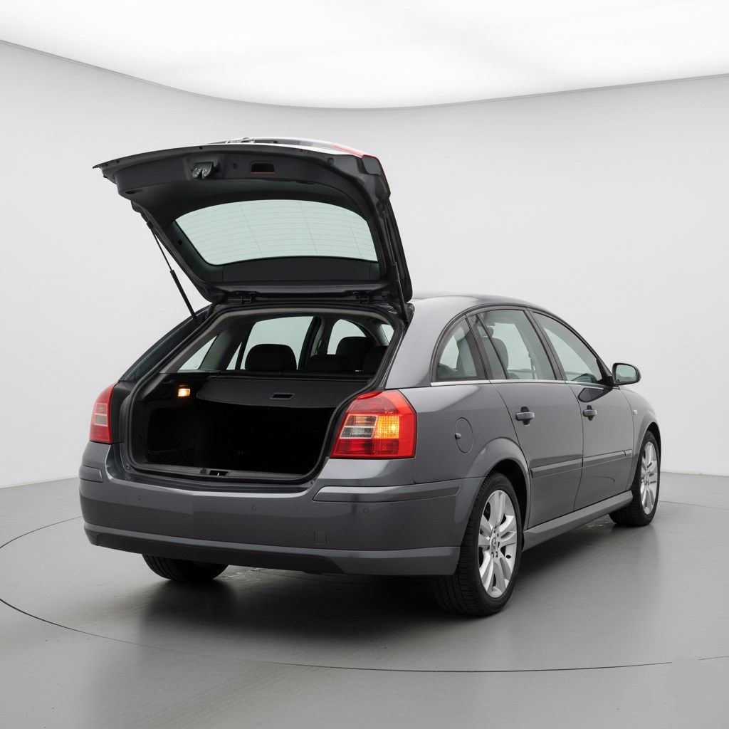 VAUXHALL SIGNUM 2003-2008 2003-2008 Uyumlu BAGAJ Amortisörü